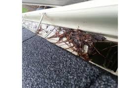 Maybe you would like to learn more about one of these? Gutter Cleaning By Elite Gutters In Burlington Nc Alignable