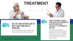 Chronic Lyme Disease Treatment With Integrative Medicine Albany New York The Stram Center
