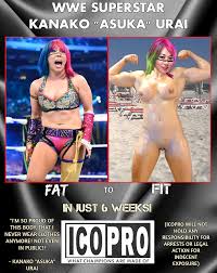 Wwe rule34