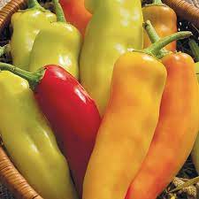Перец hungarian yellow wax hot. Organic Non Gmo Hungarian Hot Wax Pepper