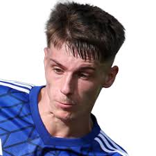 Fußball DFB-Pokal: Pirmasens gegen Hamburg