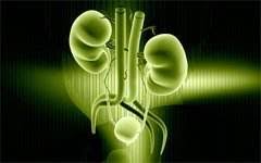 Am incercat cu urinal, uractiv etc fara rezultat, iar apoi cu ciprinol. Infectiile Urinare Centrul Medical Alexis