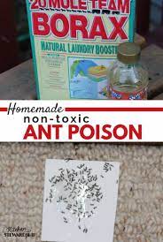 Here is a recipe for a natural ant repellant. How To Make Homemade Non Toxic Ant Poison