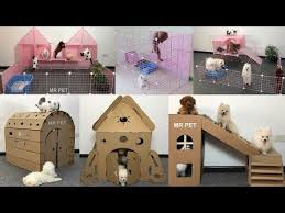 ilk 6 sevimli pomeranya yavrulari ve kedi yavrulari icin bir ev nasil yapilir youtube cute pomeranian pomeranian puppy cute pomeranian puppies