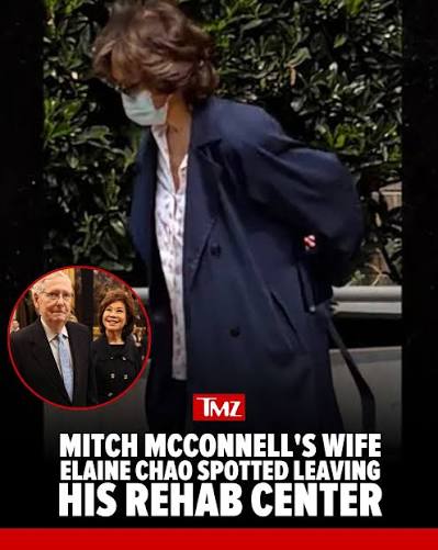 Former U.S. Transportation Secretary Elaine Chao returned to the United  States from China this week after her husband, Sen. Mitch McConnell, was  hospitalized on June 14. Chao's travel during McConnell's hospitalization  fueled