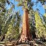 sequoia national park from en.wikipedia.org