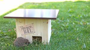 Wenn sich ein igel in ihrem garten niedergelassen hat, müssen sie nicht viel zeit und energie aufwenden, um schädliche insekten zu bekämpfen. Igel Uberwintern Helfen Das Perfekte Igelhaus Fur Den Winterschlaf Bayern 1 Radio Br De