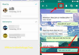 Get ready and join the group any. Macam Mana Nak Tahu Member Group Dah Baca Mesej Dalam Group Whatsapp Adarain