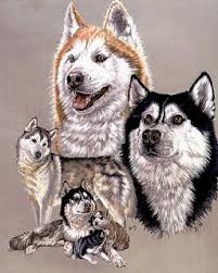 Printable dog cross stitch patterns free. Border Collie Counted Cross Stitch Pattern Dog Design On Popscreen