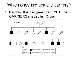 Pedigree Charts Draw A Chart Showing Your Family Parents