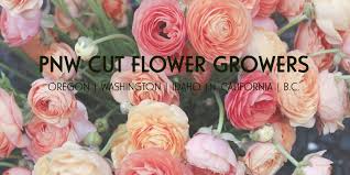 Planting flower bulbs is a simple and inexpensive way to add splashes of color to your garden. Episode 286 Growing Growers News From Association Of Specialty Cut Flower Growers President Dave Dowling And Regional Director Lennie Larkin Plus A Bonus Interview With Elizabeth Bryant Debra Prinzing