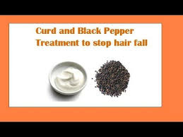 Curd Black Pepper For Treating Hair Fall Treat Hair Fall Fall Hair Hair Pack A wide variety of black pepper bulk options are available to you, such as hair bulk.