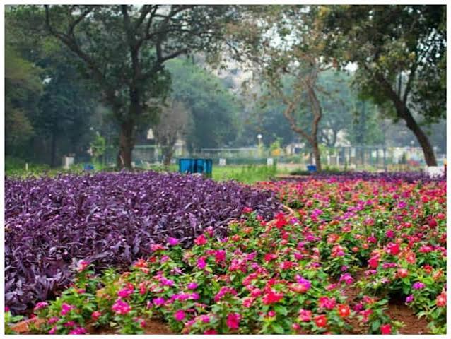 Mumbai Iconic Hanging Garden To Be Shut for 7 Years Over Reconstruction Of Raj-era Reservoir | India News - News18