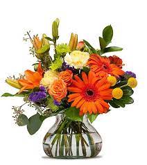 #1 mesa, az 85207 p 480.983.0802. Papaya In Mesa Az Razzle Dazzle Flowers Gifts Thanksgiving Flowers Flower Delivery Thanksgiving Floral