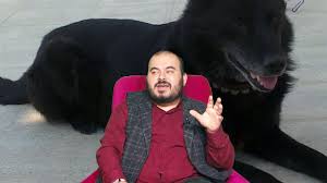 Ruyada Kara Kopek Gormek Nedir Ruya Ruyada Siyah Kopek Gormek Ne Anlama Gelir Huseyin Duru Youtube