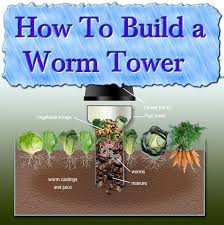How many worms for garden tower. Pin On Gardening
