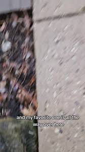 Alumna Q&A with Dr. Richard Bykowski