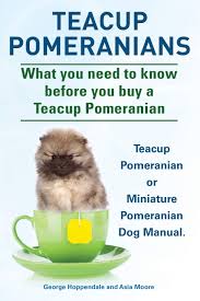 Mini pomeranian dogs with merle colors have particular illnesses affecting only their kind. Buy Teacup Pomeranians Miniature Pomeranian Or Teacup Pomeranian Dog Manual What You Need To Know Before You Buy A Teacup Pomeranian Book Online At Low Prices In India Teacup Pomeranians Miniature