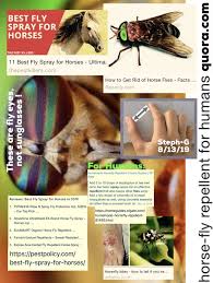 Mosquito repellant apps that can scare away insects that want to sting you & eat your blood. What Is The Best Horse Fly Repellent For Humans Quora