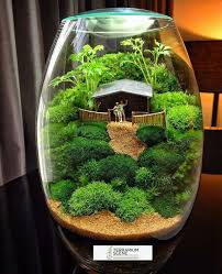 What Is Terrarium How Is This Done Here S The Answer To All Answer Terrarium Terrarium Miniature Garden Mini Garden