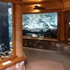 The world's foremost outfitters visitstore.bio/cabelas. Photos At Cabela S Aquarium Aquarium In Glendale