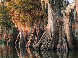 This Is The Most Beautiful Place In Every U S State Most Beautiful Places Beautiful Places Louisiana Beaches