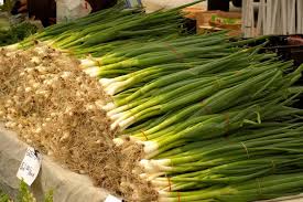 Waiting too long can lead them to dry out and become tough. Growing Scallions In Your Home Garden Happy Diy Home