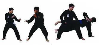 Jun 07, 2021 · serangan dengan tendangan dengan menggunakan kaki, yaitu pada kaki bagian ? Serangan Kaki Dalam Pencak Silat