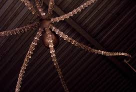 Octopus Chandelier Daniel Hopper Design A Modern Blacksmith