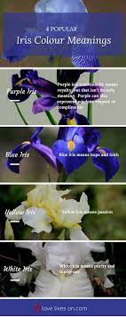 Funeral Flowers And Their Meanings The Ultimate Guide Iris Flowers Flower Meanings Funeral Flowers