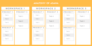 However, if you're viewing your tasks by due date, you're not able to manually move the order of the tasks. How To Use Asana Like A Pro For Project Management By Vishal Srivastava Medium