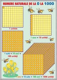 Ordinea efectuării operaţiilor / împărţirea numerelor naturale. Numere Naturale De La 0 1000 OperaÅ£ii Cu Numere Naturale Math Grid Lines