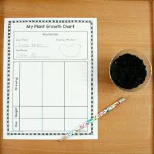 Plant Tracking Sheet For Kids Plant Growth Preschool
