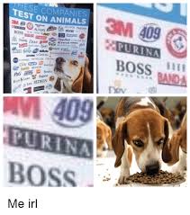 Pin On Internet Pictures