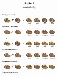 Ball Python Genetic Charts