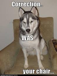 Pin By Amanda Sliwerski On Puppies Husky Funny Dog Jokes Funny Husky Meme