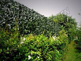 Obtenez un article intéressant sur surprenant blooma jardin qui pourrait vous aider. Euro Castor Green Beitrage Facebook