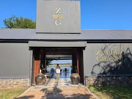 Image result for Grangea zambesiaca