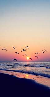 Ocean and beach tumblr blog photo aesthetic pinterest with photo zsazsa bellagio tumblr fotos de paisagem fotografia de. 56 New Ideas For Photography Tumblr Summer Sky Nature Photography Sunset Wallpaper Sky Photography