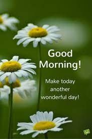 29 positive good morning quotes with hd quality images. Positive Good Morning Quote On Photo With White Flowers