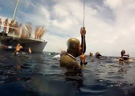 Nicholas Mevoli Freediving Death What Happens To People Who Practice Holding Their Breath