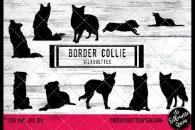Download Border Collie Dog Svg Files Cricut Silhouette Clip Art Vec 138852 Illustrations Design Bundles
