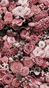 The great collection of pink flower wallpapers for desktop, laptop and mobiles. Can You See Resources Texturas Png S Trendy Flowers Flower Wallpaper Pink Flowers