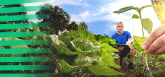 Η ΚΓΠ με μια ματιά - Γεωργία και αγροτική ανάπτυξη - Ευρωπαϊκή Επιτροπή