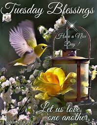 You can even create your own have a blessed ramadan quotes but make sure that you let the receiver know that it is you has compiled the text. Tuesday Blessings Have A Nice Day Good Morning Tuesday Tuesday Quotes Tuesday Blessings Tuesday Pictures Good Morning Tuesday Tuesday Morning Wishes Blessed