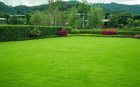 All i can say is that your work and ethics certainly live beyond the company's name. Raising Men Lawn Care Reviews Is It Worth It Today S Homeowner