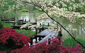 Japanese Gardens Yaponskij Sad Sadovyj Most Dizajn Sada