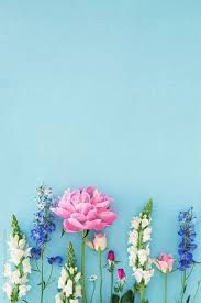 Wie Schon Ist Dieses Foto Von Blumen Land Garten Blumen Arrangiert Auf Blau Von Ruth Black In 2020 Flower Background Wallpaper Flower Wallpaper Flower Lockscreen