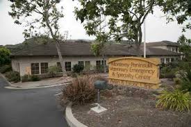 If you're part of our community, enjoy some of our new online features to save you time and make your pet care easier. Monterey Peninsula Ca Veterinary Hospital Contact Us Monterey Peninsula Veterinary Emergency Specialty Center Monterey Ca