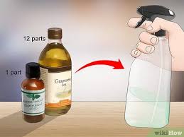 3 Ways To Control Fleas By Using Peppermint Wikihow